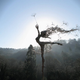 Illustration for article titled The Full Sized Wire Fairy Queen of Trentham Gardens